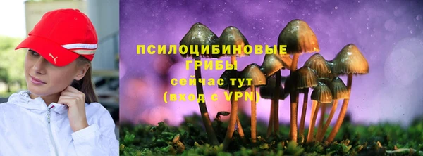 прущие крисы Абдулино