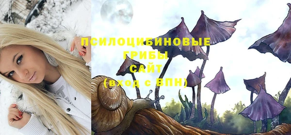 синтетический гашиш Новодвинск
