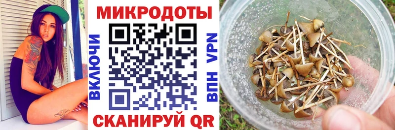 Псилоцибиновые грибы Psilocybe  наркота  Ялуторовск 